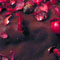 Pink Peppercorn Encrusted Flourless Chocolate Cake